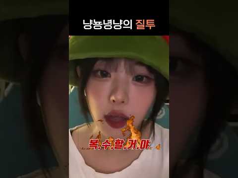 (QWER Shorts) 냥뇽녕냥의 귀여운 질투ㅋㅋ