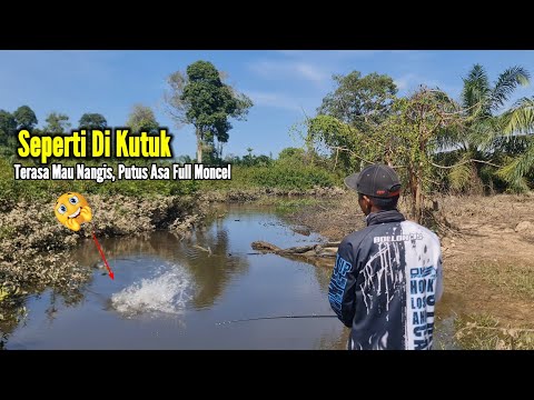 LUAR BIASA.!! SAMBARAN² IKAN GABUS GANAS SETELAH BANJIR || BERJUANG KELUAR DARI KUTUKAN MONCEL