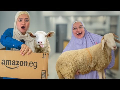 اشترينا خروف أونلاين من تطبيق خروفلي ( الجزء الأول ) 😂😂😂 ||Nesma khogaly