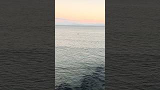 How big is the bay, how small is the boat?