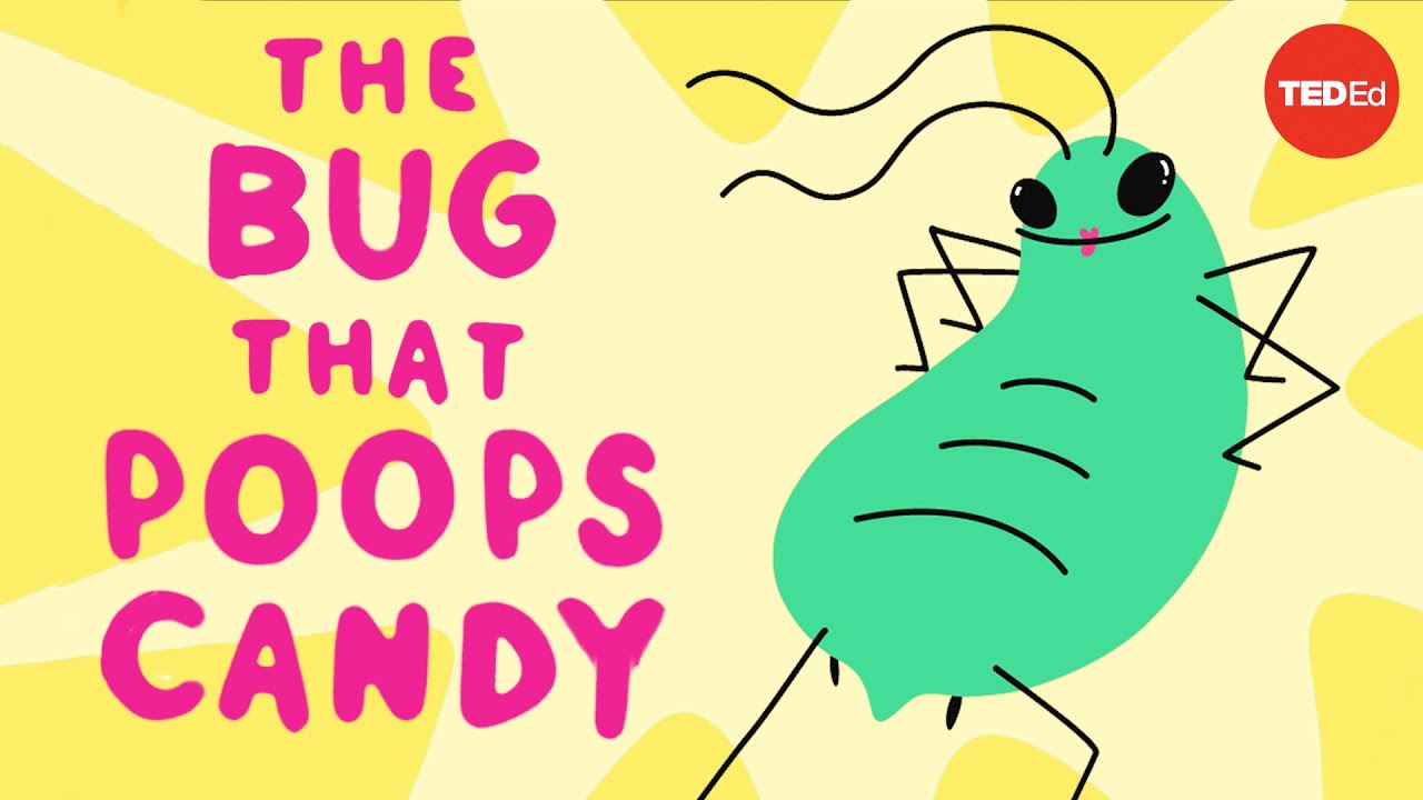 The bug that poops candy - George Zaidan