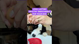 Best enrichment for dogs that’s healthy #dogfood #dogenrichment