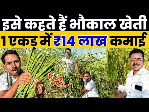 सहजन से होगा छप्परफाड़ PROFIT🌿💰Moringa Farming की A to Z जानकारी💯🔥Indian Farmer