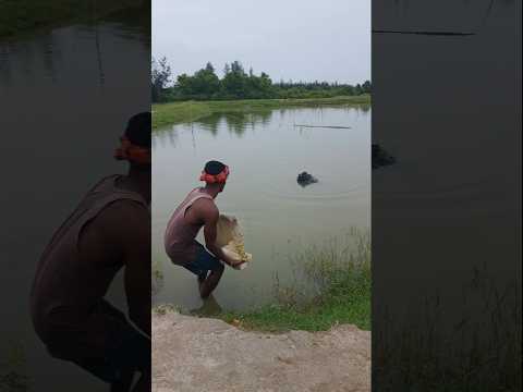 Cast Net Fishing in the River Fishing with fisherman #shortvideo