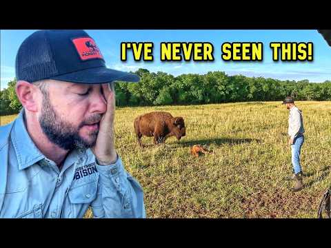 Something's Wrong in the Big Joe Herd, Heartbreak Hits!