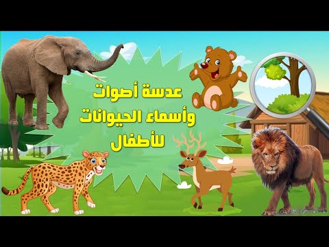 أصوات وأسماء الحيوانات للأطفال بالعدسة المكبرة - Animal sounds for kids with magnifying glass