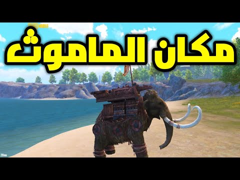 مكان الماموث في ببجي موبايل pubg mobile