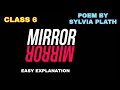 Analysis of the Poem 'Mirror'