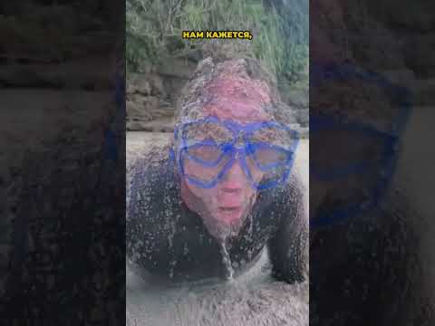 Одновременно КРАСИВОЕ и УЖАСНОЕ место на земле?