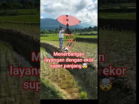 layangan dengan ekor terpanjang 🤯 #layangan #shortvideo #facts #infounik