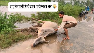 शमशाबाद में बाढ़ आ गई shyamu #shortvideo #viralvideo 