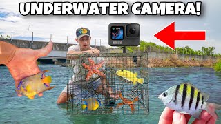 I Put A CAMERA In A FISH TRAP!! *Crazy Footage*