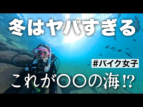 バイク女子の新たな挑戦！沼津の海でダイビングデビュー #モトブログ