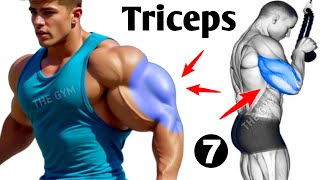 7 Best Triceps Workout at Gym for Massive Arms