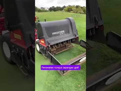 perawatan rumput lapangan golf.#fakta unik#shorts