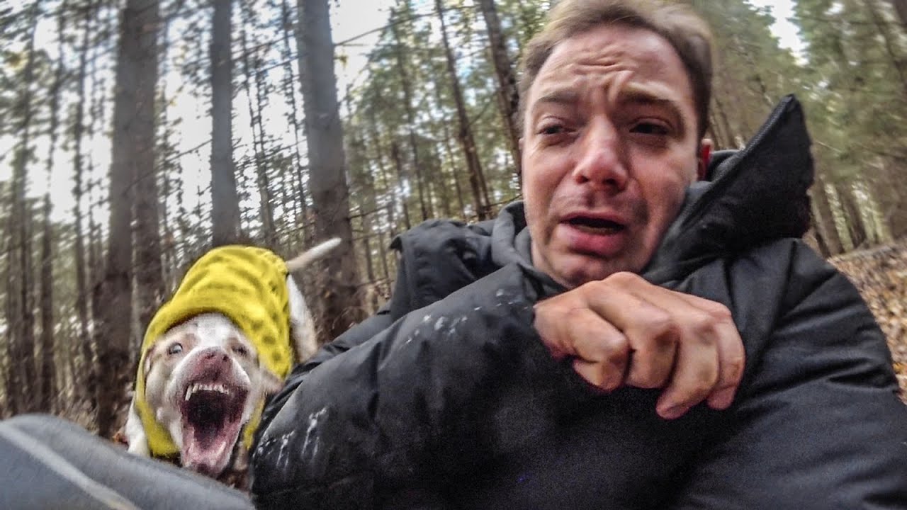 Налетела собака в лесу! Но видео не об этом.