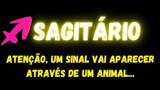 ♐️SAGITÁRIO😔ATENÇÃO, UM SINAL VAI APARECER DE UM ANIMAL...