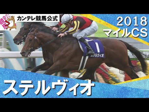 【ＧⅠ馬７頭！ハイレベルなマイル頂上決戦】2018年 マイルチャンピオンシップ (GⅠ) ステルヴィオ　実況：吉原功兼【カンテレ公式】