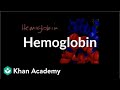 Understanding Hemoglobin and Oxygen Transport