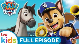 Pups Save a Show Jumper 🐴 | 🐾 PAW PATROL 🐶 | Rescue Dogs Help Save The Day ⛑️ | Season 8 | TVOkids