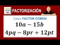 Factores y MCD en Álgebra