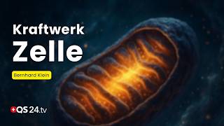 Wie Ihre Zellen mehr Energie produzieren könnten – ganz ohne Tabletten | Erfahrungsmedizin | QS24