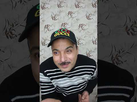 سنجاب | سنجاب ياكل فستق | سنجاب ياكل بندق | السنجاب الصغير|  Squirrw