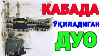 Байтуллоҳдаги тилак °Шайх Нуриддин Холиқназар ҳазратлари 