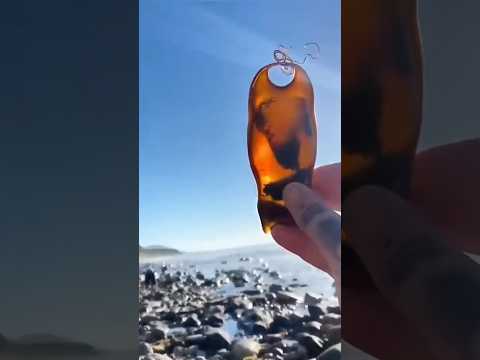 This man found a strange egg on the beech ? #shorts