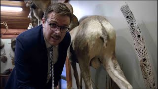 Save the Tahr, to Hunt the Tahr - New Zealand Today