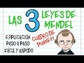 Cuestionario sobre las Leyes de Mendel