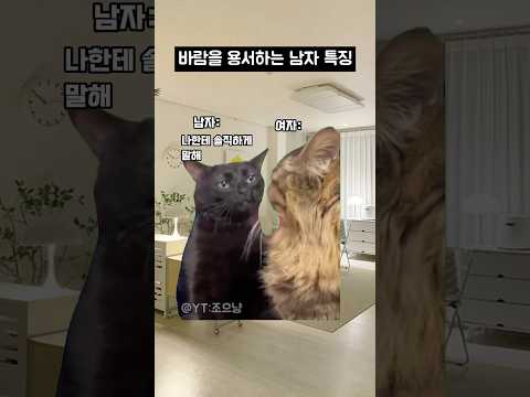 바람을 용서하는 남자 특징