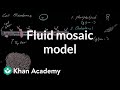 Exploring the Cell Membrane and Fluid Mosaic Model