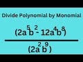 Understanding Exponents and Polynomials