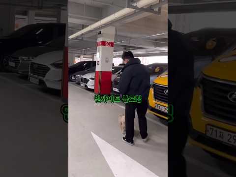 🔥100만🔥인사이드 블로킹으로 보호자님과 강아지의 삶을 바꿔드렸습니다(감동주의)