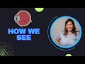 Vision and Eye Function Concepts