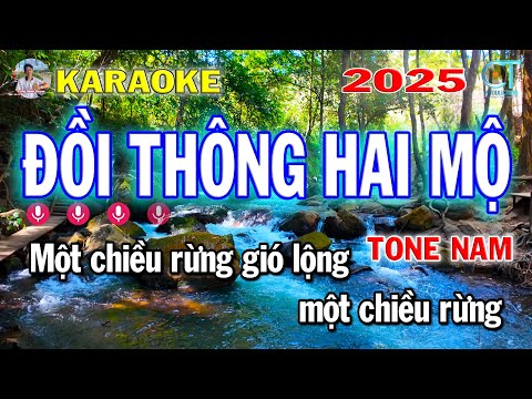 Karaoke Đồi Thông Hai Mộ Tông Nam Nhạc Sống 2025 | Công Minh