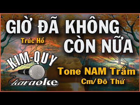 GIỜ ĐÃ KHÔNG CÒN NỮA – KARAOKE – Tone NAM Trầm ( Cm/Đô Thứ )