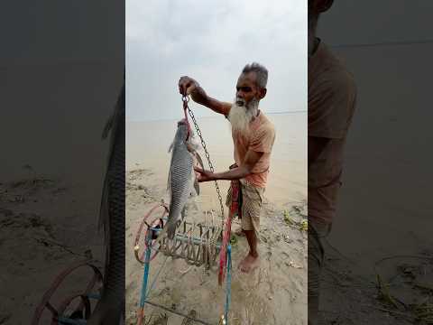 3kg fish bait throwing for crap fish -15 #fishing #reels #bait