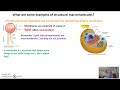 Biological Macromolecules and Their Functions