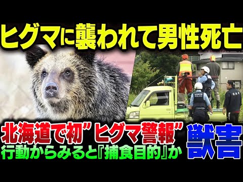 北海道でヒグマの獣害事件。新聞配達中の被害者は死亡、ヒグマ警報が初めて発令される【ゆっくり解説】