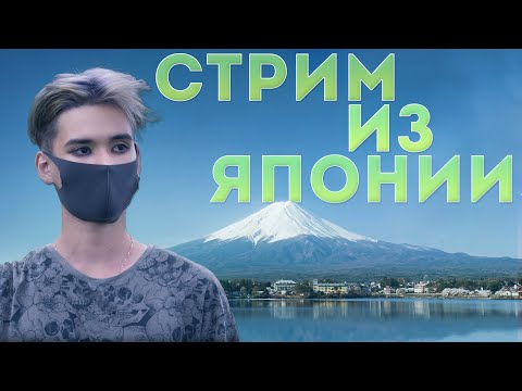 Смотрим видосы и новости