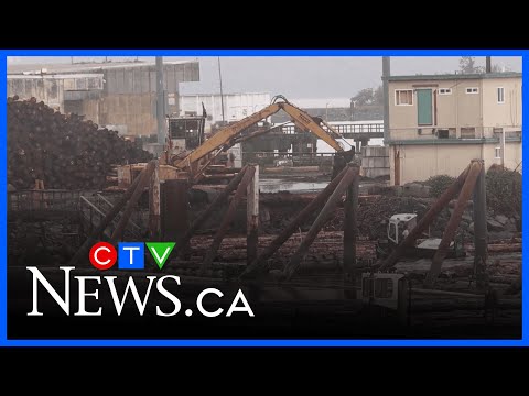 YouTube video thumbnail: Pulp Mill Closure Not Due to Tariffs, Industry Group Says