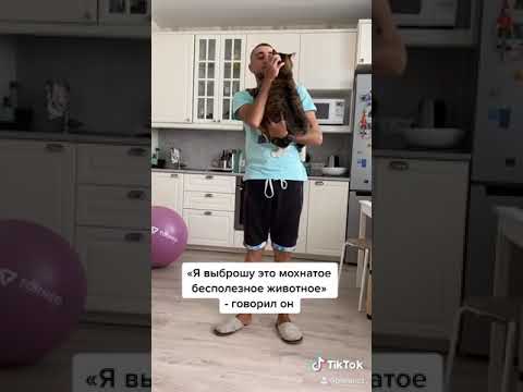 Кот Ральф. Жирок, перед которым не устоит никто