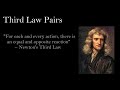 Physics of Bug and Car Collisions