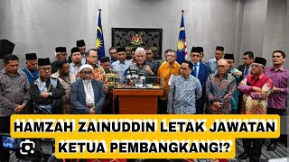 HAMZAH ZAINUDDIN TURUN !?
