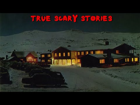 True Scary Stories to Keep You Up At Night (November 2024 Horror Compilation)