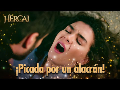 ¡Reyyan en peligro: el alacrán la pica y Miran actúa! 🦂 | Mejores Escenas 💘