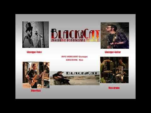 Black Cat Tribute Zucchero