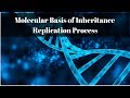 DNA Replication Mechanisms and Enzymes